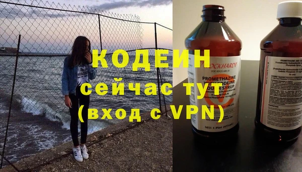 хмурый Алексин