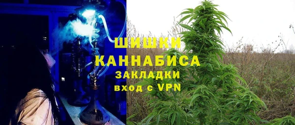 хмурый Алексин