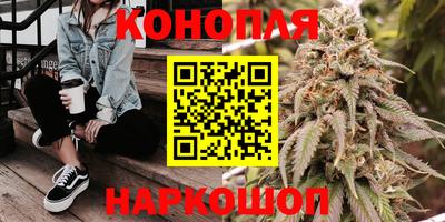 spice Кинель