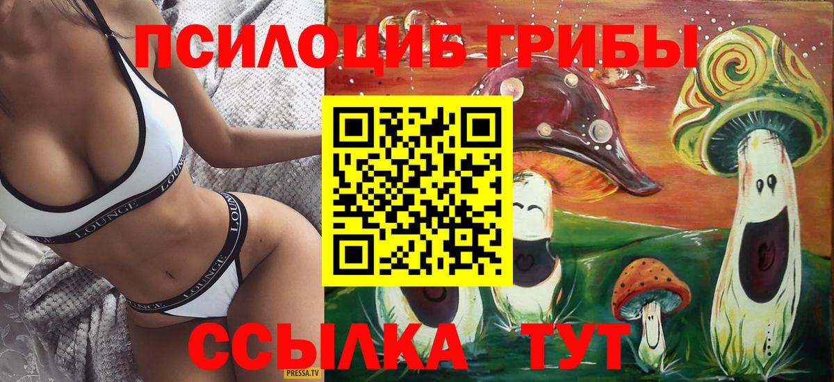 Галлюциногенные грибы Psilocybine cubensis Лениногорск