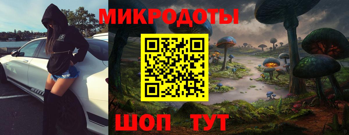 Лениногорск  Галлюциногенные грибы Cubensis  Вход с VPN 